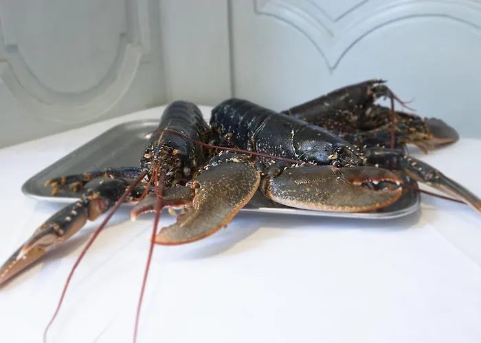 アントル テール エ メール